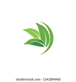 Leaf Logo Template vector symbol nature