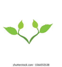 Leaf Logo Template vector symbol nature