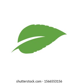 Leaf Logo Template vector symbol nature