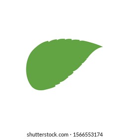 Leaf Logo Template vector symbol nature