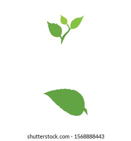 Leaf Logo Template vector symbol nature