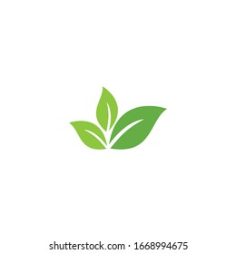 Leaf Logo Template vector symbol nature