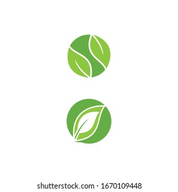 Naturaleza del símbolo vectorial de la plantilla de logotipo de hoja
