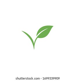 Leaf Logo Template vector symbol nature