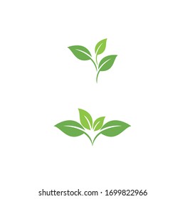 Leaf Icon Images Stock Photos Vectors Shutterstock