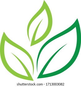 Leaf Logo Template vector symbol nature