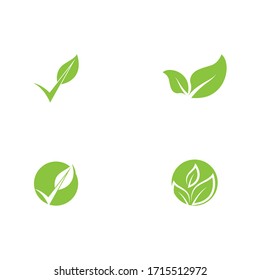 Leaf Logo Template  vector symbol nature