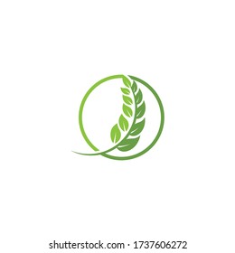 Leaf Logo Template vector symbol nature