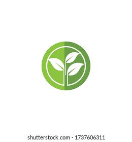 Leaf Logo Template vector symbol nature