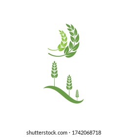 Naturaleza del símbolo vectorial de la plantilla de logotipo de hoja