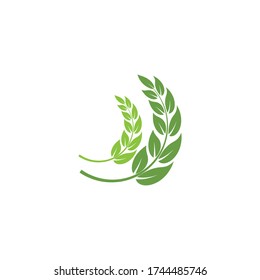 Naturaleza del símbolo vectorial de la plantilla de logotipo de hoja