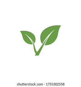 Leaf Logo Template vector symbol nature