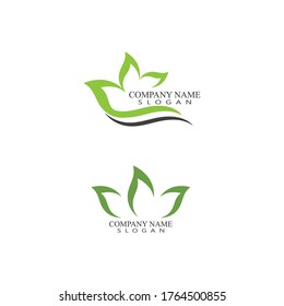 Leaf Logo Template vector symbol nature