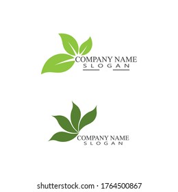 Leaf Logo Template vector symbol nature