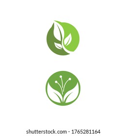Leaf Logo Template vector symbol nature