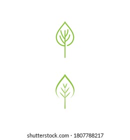 Leaf Logo Template vector symbol nature