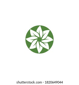 Leaf Logo Template vector symbol nature