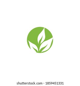 Leaf Logo Template vector symbol nature