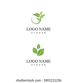 Leaf Logo Template vector symbol nature
