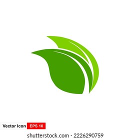 Leaf Logo Template vector symbol nature
