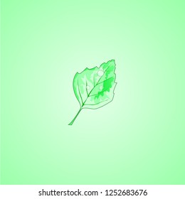 Leaf Logo Tree Green