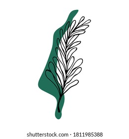 Leaf logo. Leaf from tropical forests isolated on white background. Used for greeting cards, flyers, invitations, web design, graphic design, to everything. 