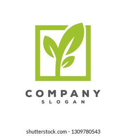 leaf logo vector
