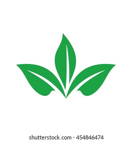 leaf logo vector.