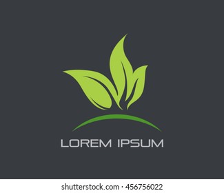 Leaf Logo Vector
