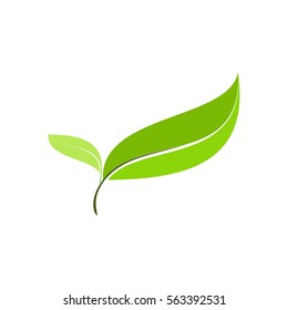 leaf logo vector