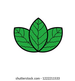 leaf logo vector design