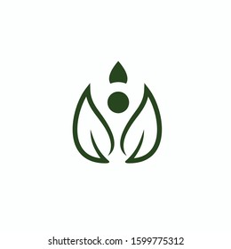 Leaf Logo Vector design Illustration template.