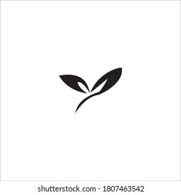 leaf logo vector design illustration