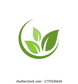 Leaf Logo Vector Design Template