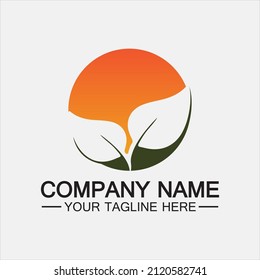 Leaf logo vector design template