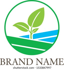 leaf logo vector farm green