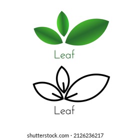 Leaf logo vector. Good for company logos, plant book covers, plantations, etc.