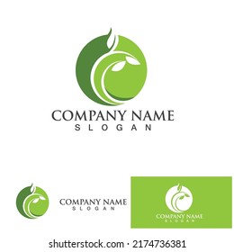 Leaf logo vector icon design template