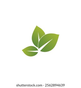 Leaf logo vector icon design template