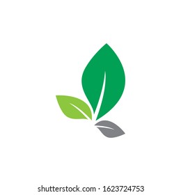 Leaf logo vector icon illustration
