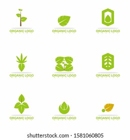 Leaf Logo. Vector Illusration. Simple, flat, and modern logo symbol. Set 9 Logo Design.
