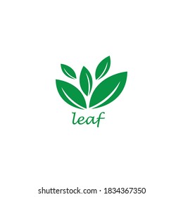 leaf logo vector illustration color design style