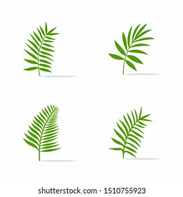 Leaf logo vector Illustration design template - Vector 