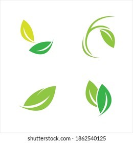 leaf logo vector illustration design template