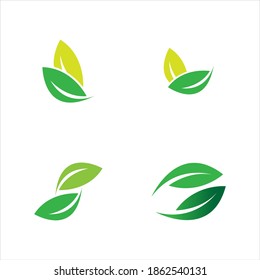 leaf logo vector illustration design template