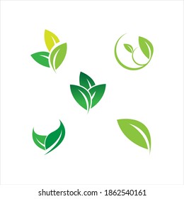 leaf logo vector illustration design template
