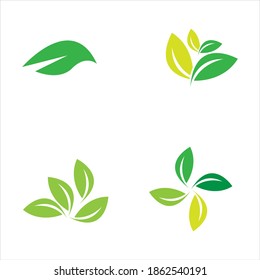 leaf logo vector illustration design template