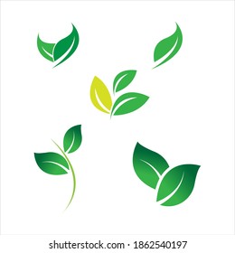 leaf logo vector illustration design template