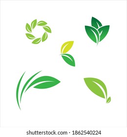 leaf logo vector illustration design template