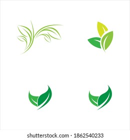 leaf logo vector illustration design template